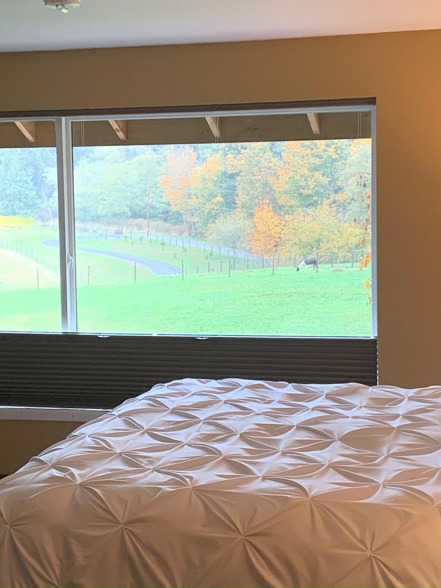 Comforts Of Whidbey Langley Esterno foto